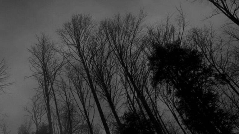 Basic Information About Myself: